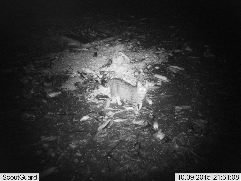 Foto: Ing. Popelka Foto: Ing. Popelka