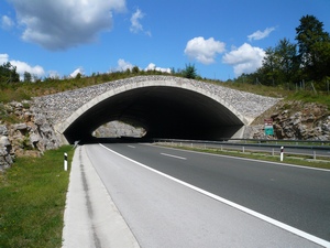 ekodukt v Chorvatsku ekodukt v Chorvatsku