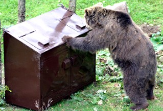 speciální kontejner zabezpečený proti vniknutí medvědů k odpadkům (foto:www.medvede.sk)