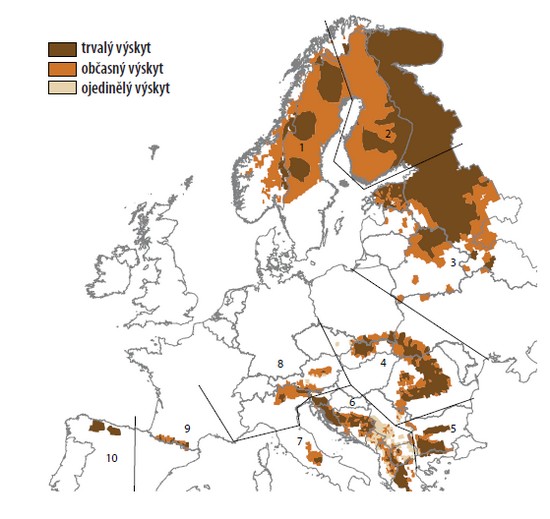 rozšíření medvěda hnědého v Evropě