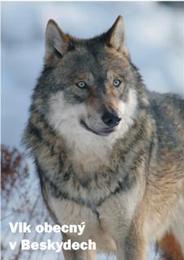 Pohlednice Vlk obecný v Beskydech