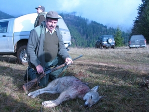 Ulovený vlk na Slovensku; zdroj: www.lovuzdar.sk uloveny_vlk_lovuzdar.sk