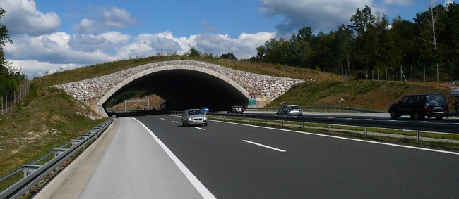 chorvatský ekodukt Ivačevo Brdo je široký sto metrů; foto. J.Žák