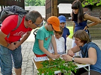 informační stánek o velkých šelmách, Rožnov