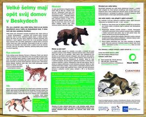 Naučný panel pro základní školy Panel - Velké šelmy mají opět svůj domov v Beskydech