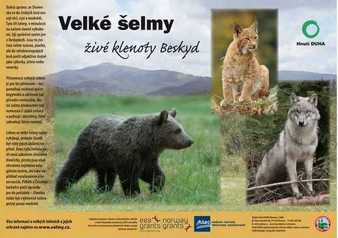 Velké šelmy - na šířku Plakát Velké šelmy – živé klenoty Beskyd