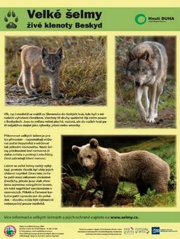 Velké šelmy - na výšku Plakát Velké šelmy – živé klenoty Beskyd