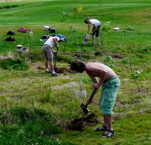 vysazování stromů na louce pro zvelebení krajiny a pomoc zvířatům