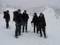 zimní skupinové výlety za velkými šelmami