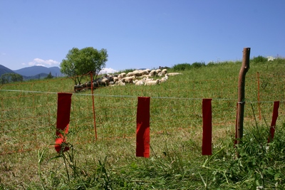 fladry (foto Robin Rigg) fladry