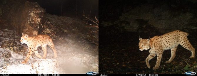 Foto: Makedonská ekologická společnost Foto: Makedonská ekologická společnost