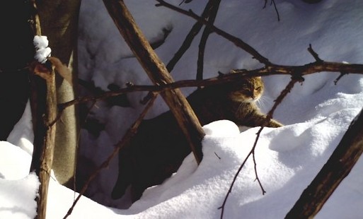 Foto: Jana Pospíšková Foto: Jana Pospíšková