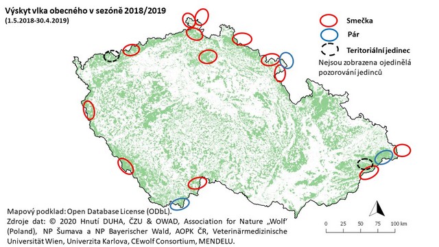 Wolf occurrence in the season 2018/2019