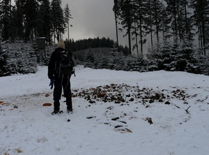 újediště Červík se zbytky ryb