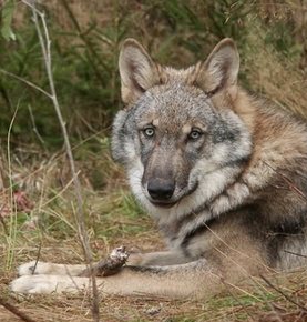 foto Karel Brož foto Karel Brož