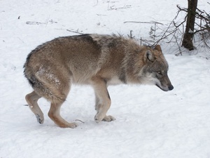 foto Karel Brož foto Karel Brož