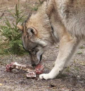 foto Karel Brož foto Karel Brož