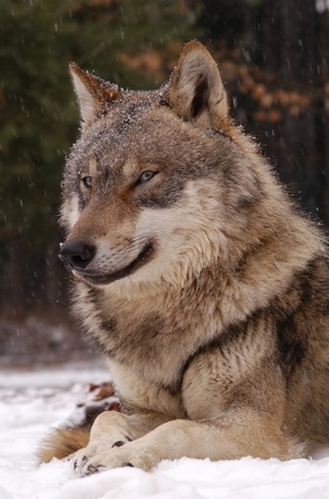 foto Karel Brož foto Karel Brož