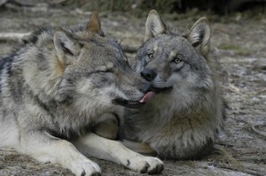 foto Jaroslav Vogeltanz foto Jaroslav Vogeltanz