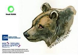 Samolepka Medvěd hlava