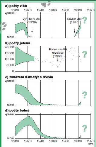 trendy v početnosti vlků a jelenů v Yellowstone