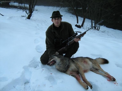 vlk zastřelený na Slovensku, zdroj: www.lovuzdar.sk