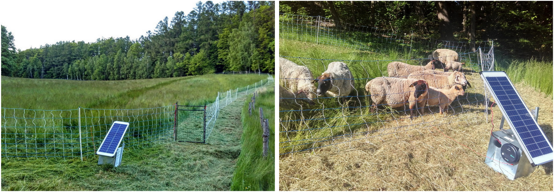 Spolupráce s chovateli Spolupráce s chovateli