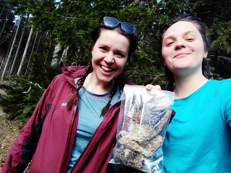 Vlčí a Rysí hlídky Vlčí a Rysí hlídky