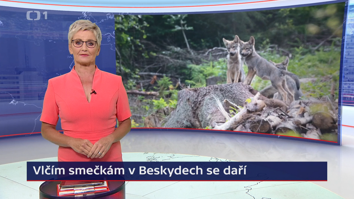 Hnutí DUHA Šelmy na ČT1 Hnutí DUHA Šelmy na ČT1