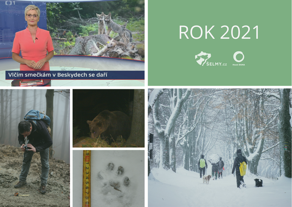 Výsledky za rok 2021 Výsledky za rok 2021