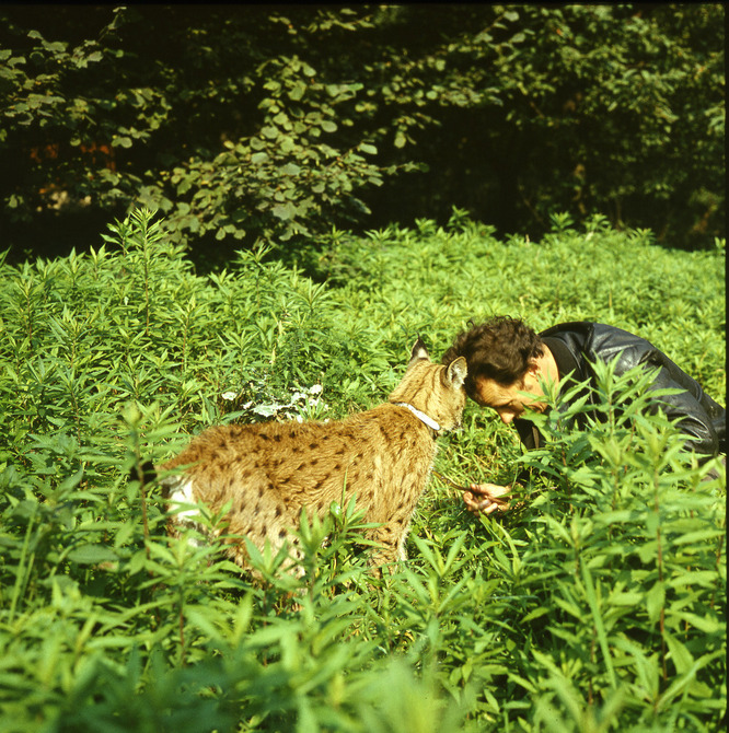 Ludvík s rysem Sixim Ludvík s rysem Sixim