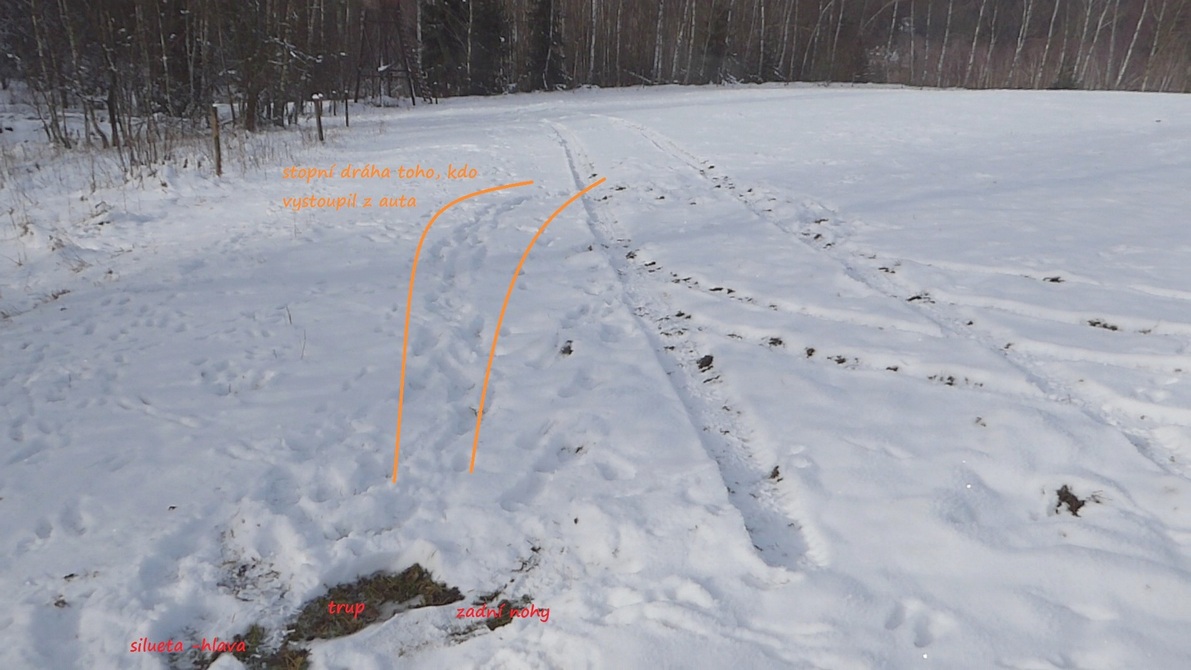 Silueta rysa před posedem a stopy auta a lidí vedoucí k ní; zdroj: Hnutí DUHA Šelmy Silueta rysa před posedem a stopy auta a lidí vedoucí k ní; zdroj: Hnutí DUHA Šelmy