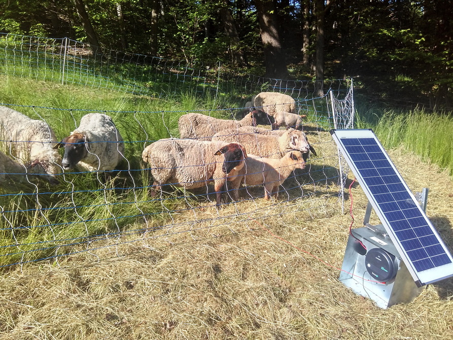 Zrealizované opatření v rámci OPŽP u chovatelů z Krnovska Zrealizované opatření v rámci OPŽP u chovatelů z Krnovska