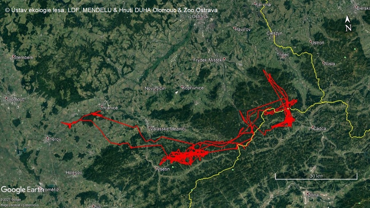 Map of Eman’s movements in nearly a year of GPS tracking